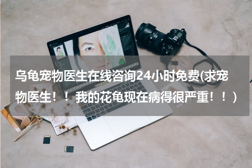 乌龟宠物医生在线咨询24小时免费(求宠物医生!!我的花龟现在病得很严重!!)