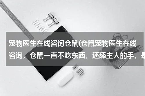 宠物医生在线咨询仓鼠(仓鼠宠物医生在线咨询,仓鼠一直不吃东西,还舔主人的手,是因为什么?)
