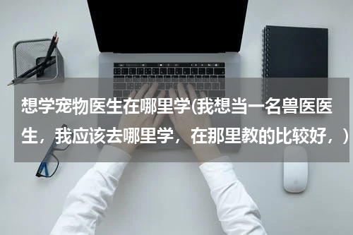 想学宠物医生在哪里学(我想当一名兽医医生,我应该去哪里学,在那里教的比较好,)