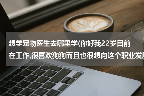 想学宠物医生去哪里学(你好我22岁目前在工作,很喜欢狗狗而且也很想向这个职业发展,请问哪里有可以学习当宠物医生,?)