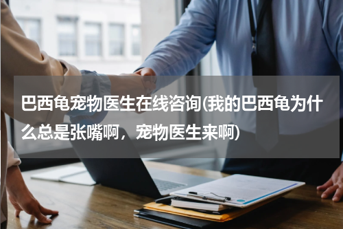 巴西龟宠物医生在线咨询(我的巴西龟为什么总是张嘴啊,宠物医生来啊)