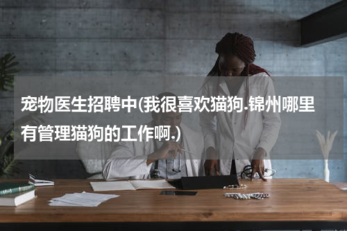 宠物医生招聘中(我很喜欢猫狗.锦州哪里有管理猫狗的工作啊.)