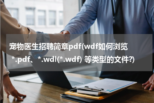 宠物医生招聘简章pdf(wdf如何浏览 *.pdf、*.wdl(*.wdf) 等类型的文件?)