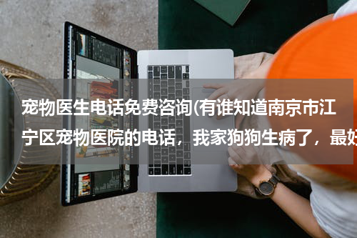 宠物医生电话免费咨询(有谁知道南京市江宁区宠物医院的电话,我家狗狗生病了,最好有医生的联系电话,可以马上咨询的?)