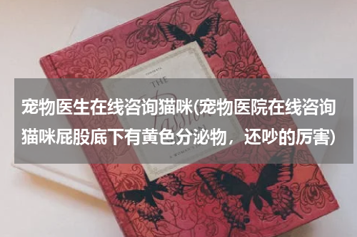 宠物医生在线咨询猫咪(宠物医院在线咨询猫咪屁股底下有黄色分泌物,还吵的厉害)