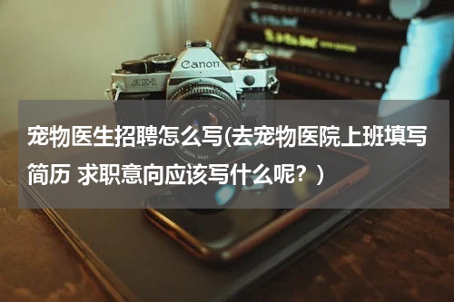 宠物医生招聘怎么写(去宠物医院上班填写简历 求职意向应该写什么呢?)