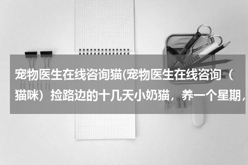 宠物医生在线咨询猫(宠物医生在线咨询(猫咪)捡路边的十几天小奶猫,养一个星期,从昨天开始便便发软发黄,拉一滩水死了!)
