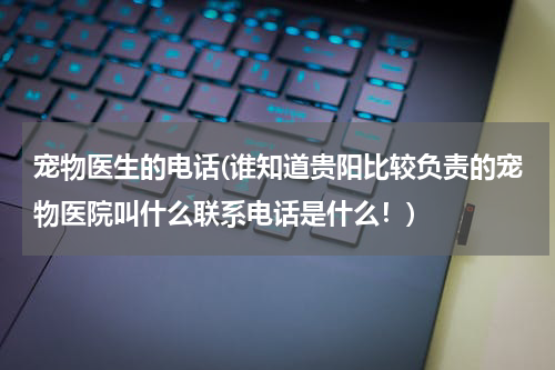 宠物医生的电话(谁知道贵阳比较负责的宠物医院叫什么联系电话是什么!)