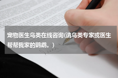 宠物医生鸟类在线咨询(请鸟类专家或医生帮帮我家的鹦鹉。)