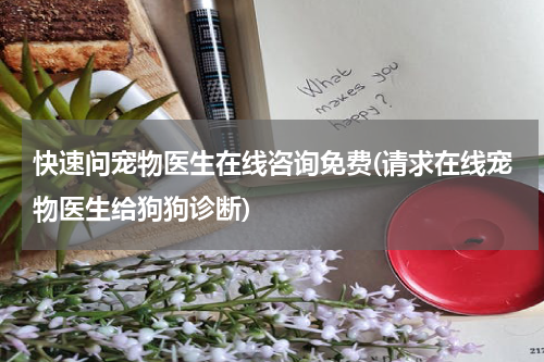 快速问宠物医生在线咨询免费(请求在线宠物医生给狗狗诊断)