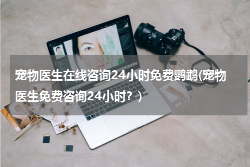 宠物医生在线咨询24小时免费鹦鹉(宠物医生免费咨询24小时?)