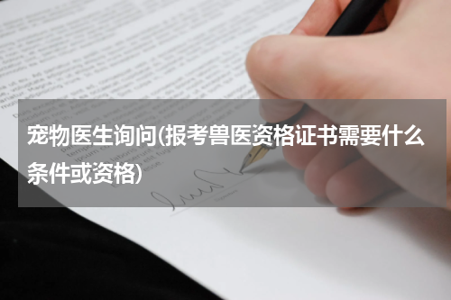 宠物医生询问(报考兽医资格证书需要什么条件或资格)