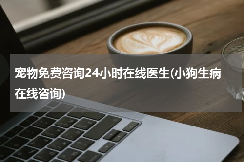 宠物免费咨询24小时在线医生(小狗生病在线咨询)