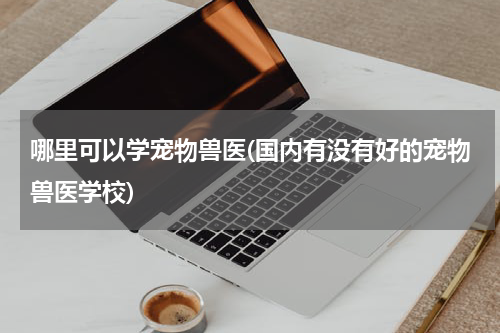 哪里可以学宠物兽医(国内有没有好的宠物兽医学校)