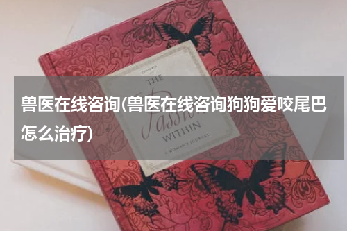 兽医在线咨询(兽医在线咨询狗狗爱咬尾巴怎么治疗)