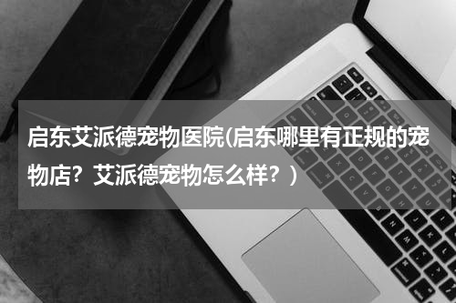 启东艾派德宠物医院(启东哪里有正规的宠物店?艾派德宠物怎么样?)