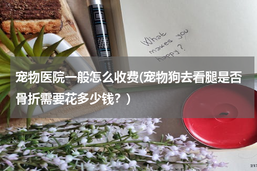 宠物医院一般怎么收费(宠物狗去看腿是否骨折需要花多少钱?)