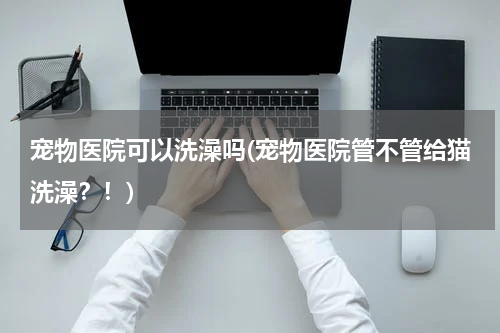 宠物医院可以洗澡吗(宠物医院管不管给猫洗澡?!)