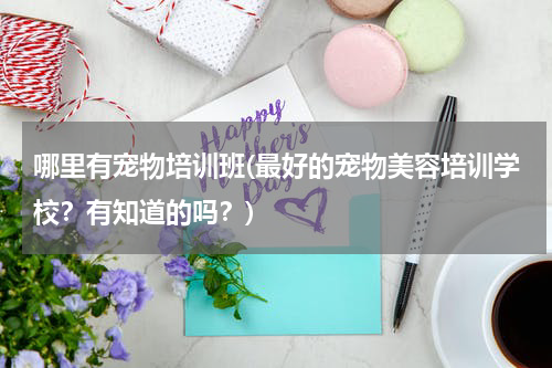 哪里有宠物培训班(最好的宠物美容培训学校?有知道的吗?)