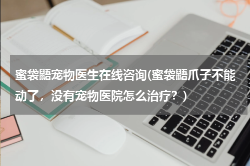 蜜袋鼯宠物医生在线咨询(蜜袋鼯爪子不能动了,没有宠物医院怎么治疗?)