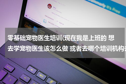 零基础宠物医生培训(现在我是上班的 想去学宠物医生该怎么做 或者去哪个培训机构去学呢)