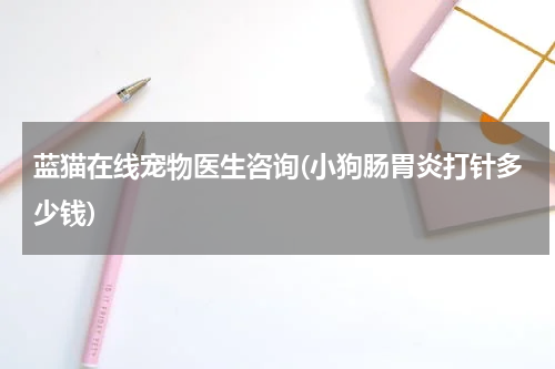 蓝猫在线宠物医生咨询(小狗肠胃炎打针多少钱)