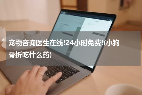 宠物咨询医生在线!24小时免费!(小狗骨折吃什么药)
