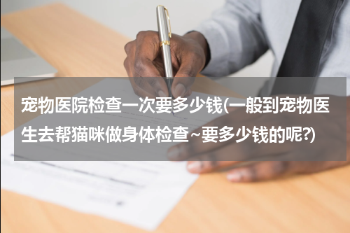 宠物医院检查一次要多少钱(一般到宠物医生去帮猫咪做身体检查~要多少钱的呢?)