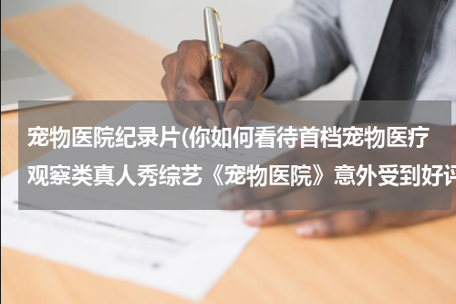宠物医院纪录片(你如何看待首档宠物医疗观察类真人秀综艺《宠物医院》意外受到好评?)