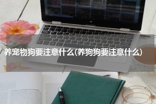养宠物狗要注意什么(养狗狗要注意什么)