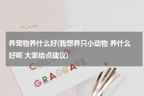 养宠物养什么好(我想养只小动物 养什么好呢 大家给点建议)