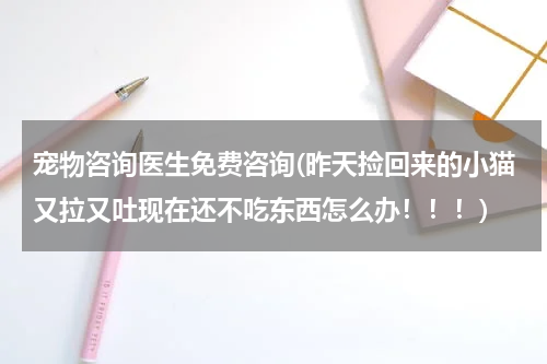 宠物咨询医生免费咨询(昨天捡回来的小猫又拉又吐现在还不吃东西怎么办!!!)