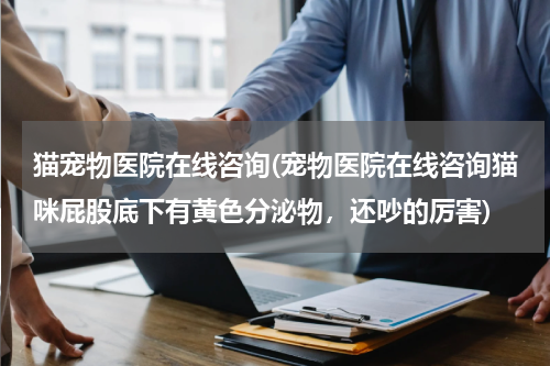 猫宠物医院在线咨询(宠物医院在线咨询猫咪屁股底下有黄色分泌物,还吵的厉害)