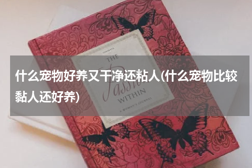 什么宠物好养又干净还粘人(什么宠物比较黏人还好养)