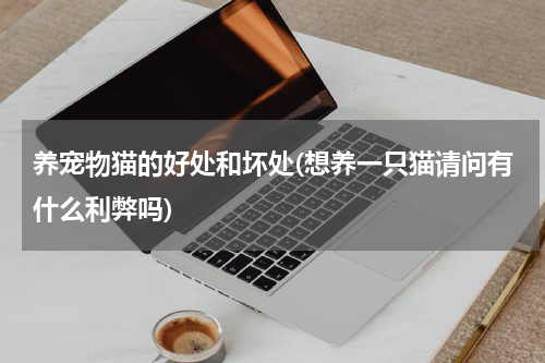 养宠物猫的好处和坏处(想养一只猫请问有什么利弊吗)