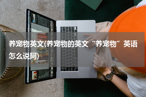 养宠物英文(养宠物的英文“养宠物”英语怎么说阿)