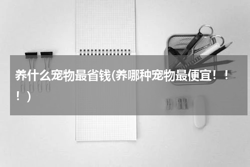 养什么宠物最省钱(养哪种宠物最便宜!!!)