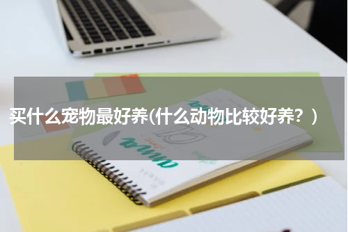 买什么宠物最好养(什么动物比较好养?)