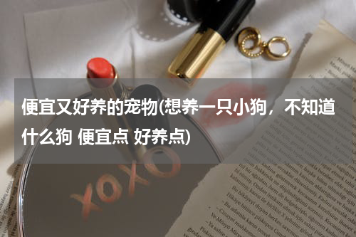 便宜又好养的宠物(想养一只小狗,不知道什么狗 便宜点 好养点)