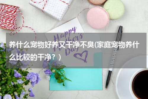 养什么宠物好养又干净不臭(家庭宠物养什么比较的干净?)