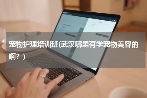 宠物护理培训班(武汉哪里有学宠物美容的啊?)