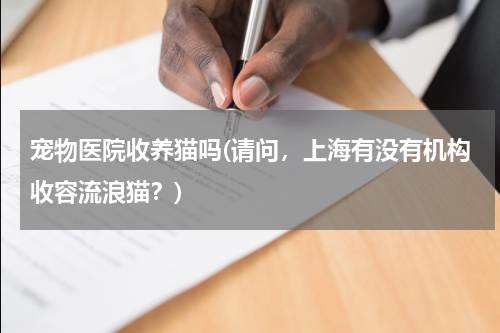 宠物医院收养猫吗(请问,上海有没有机构收容流浪猫?)