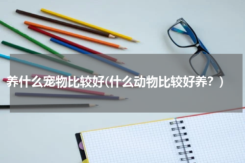 养什么宠物比较好(什么动物比较好养?)