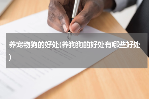 养宠物狗的好处(养狗狗的好处有哪些好处)