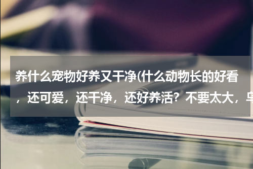 养什么宠物好养又干净(什么动物长的好看,还可爱,还干净,还好养活?不要太大,乌龟除外。)