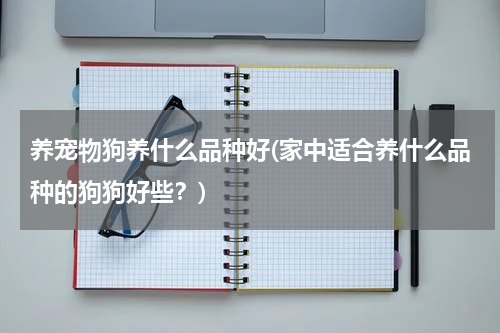 养宠物狗养什么品种好(家中适合养什么品种的狗狗好些?)