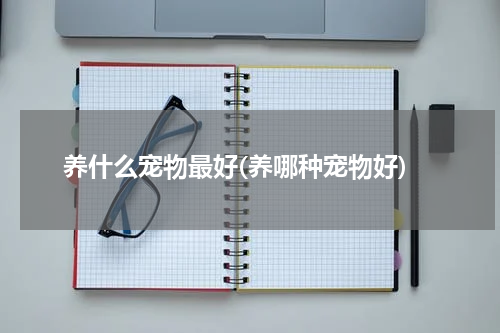 养什么宠物最好(养哪种宠物好)