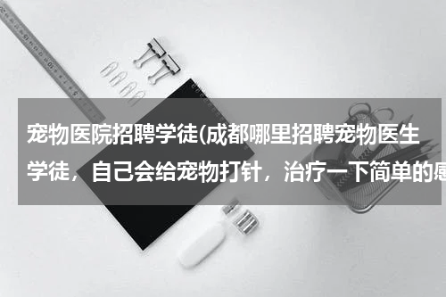 宠物医院招聘学徒(成都哪里招聘宠物医生学徒,自己会给宠物打针,治疗一下简单的感冒皮)