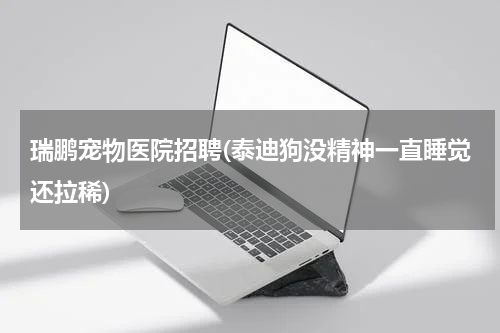 瑞鹏宠物医院招聘(泰迪狗没精神一直睡觉还拉稀)