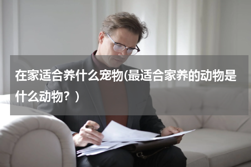 在家适合养什么宠物(最适合家养的动物是什么动物?)